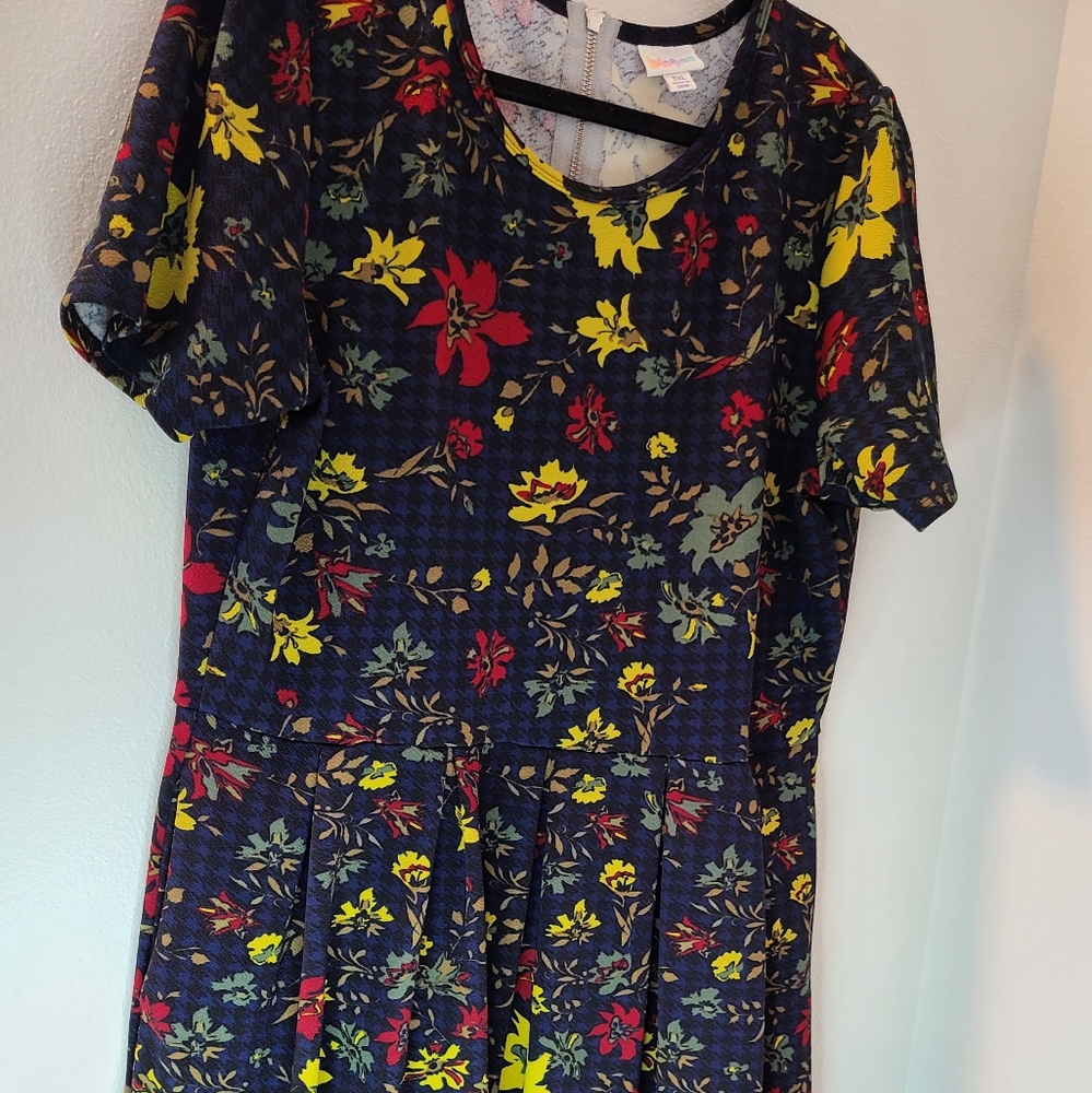 Lula Roe 3x pocket dress